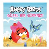Altn Kitap Okul ncesi Angry Birds Gzel Bir Srpiz 0-3 Ya